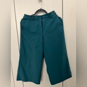 Women Zara Basic Teal Culottes